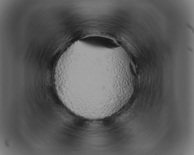 X0000091370359200709071331