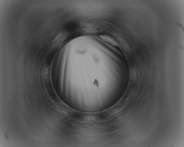 X0000091370360200709071331