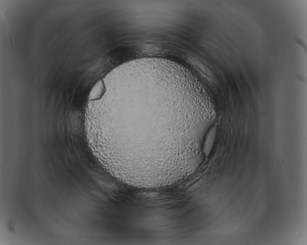 X0000091370361200709071331