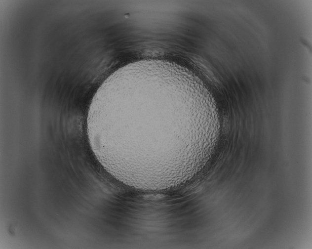 X0000091370363200709071331