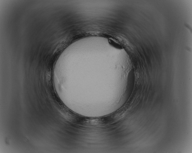 X0000091370365200709071331