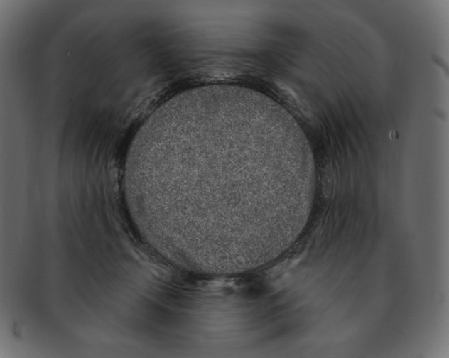 X0000091370366200709071331