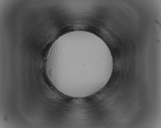 X0000091370367200709071331