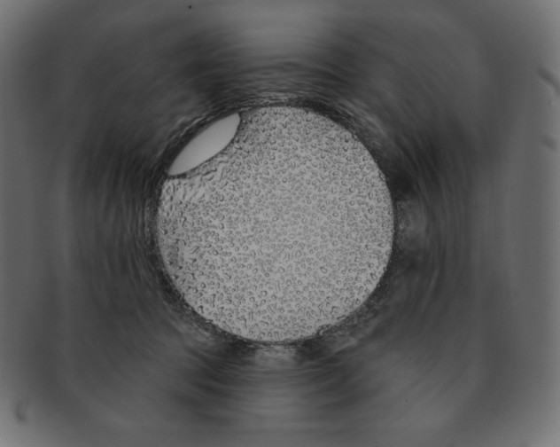 X0000091370369200709071331