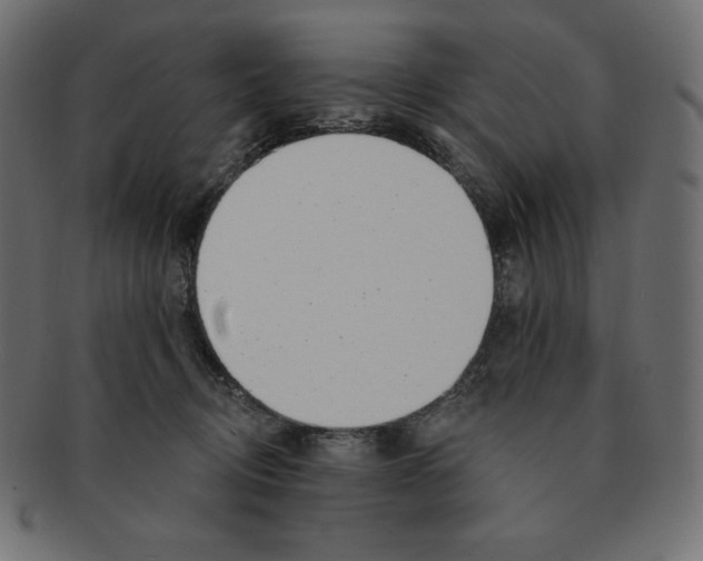 X0000091370370200709071331