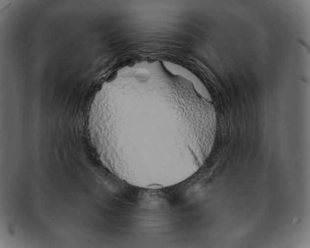 X0000091370372200709071331