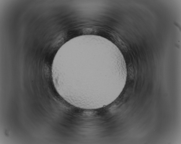 X0000091370375200709071332