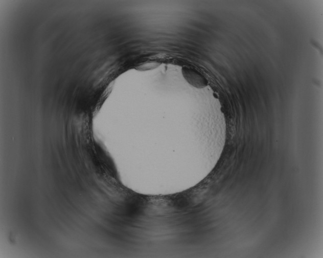 X0000091370376200709071332