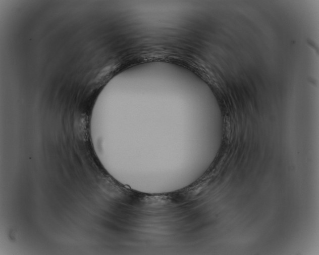 X0000091370378200709071332