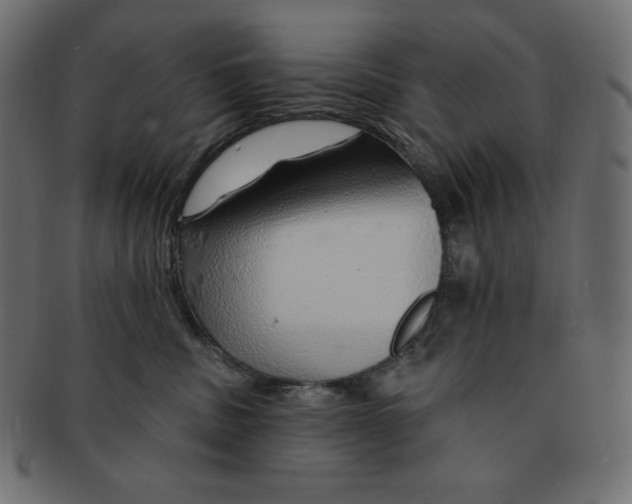 X0000091370379200709071332