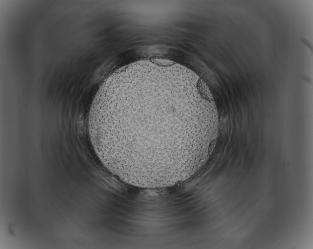 X0000091370381200709071332