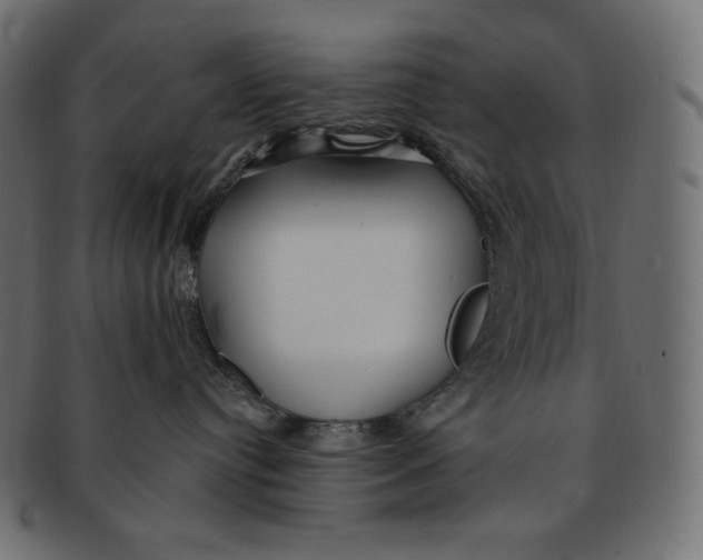 X0000091370384200709071332