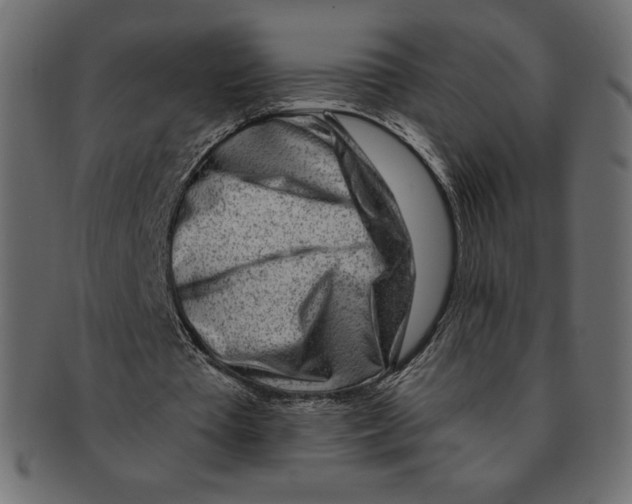 X0000091370385200709071331