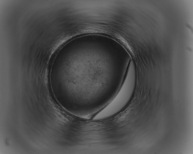 X0000091370387200709071331