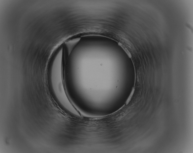 X0000091370388200709071331