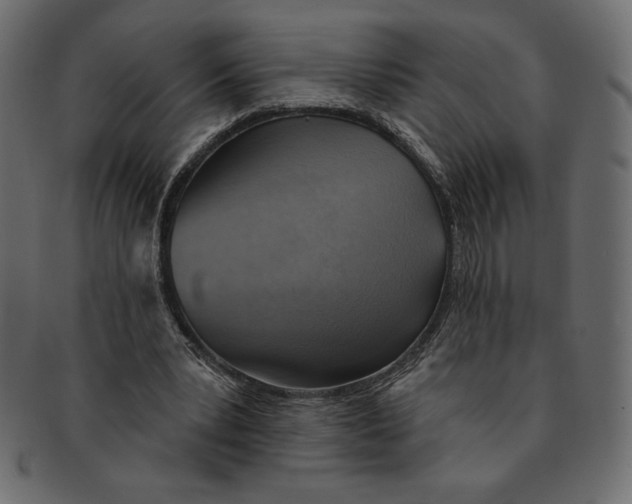 X0000091370391200709071331