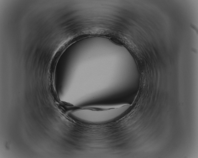 X0000091370392200709071331