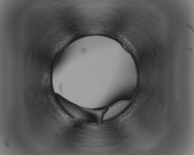 X0000091370393200709071331