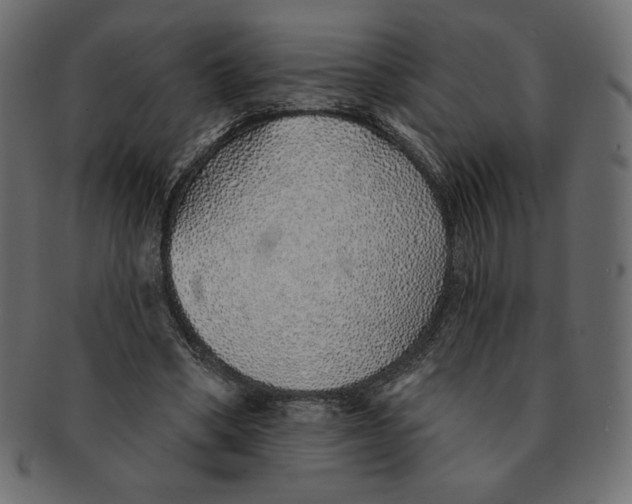 X0000091370394200709071331