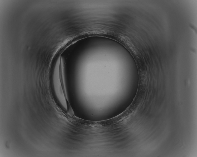 X0000091370395200709071331