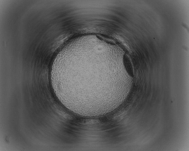 X0000091370398200709071331