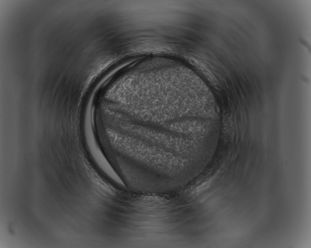 X0000091370399200709071331