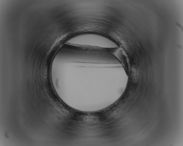 X0000091370400200709071331