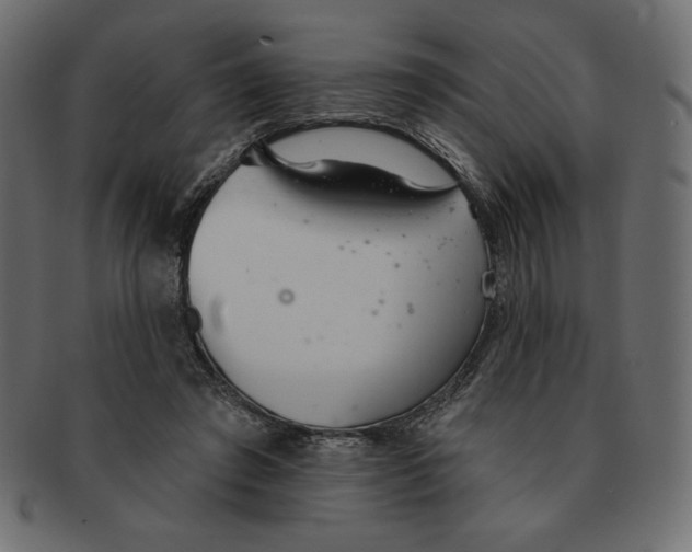 X0000091370401200709071331