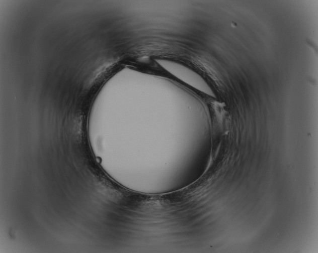 X0000091370404200709071331