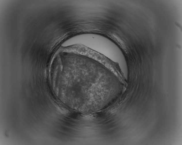 X0000091370405200709071331