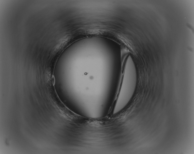 X0000091370407200709071331