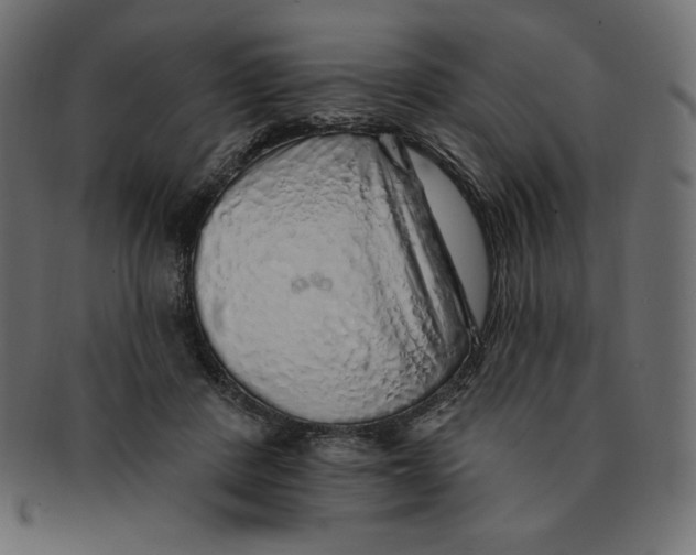 X0000091370408200709071331