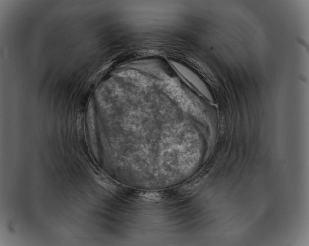 X0000091370409200709071331