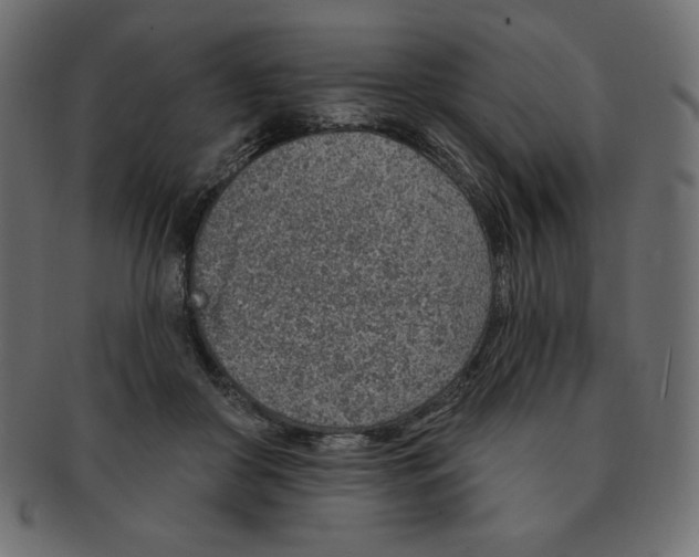 X0000091370410200709071330