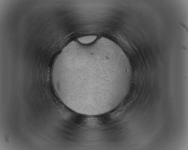 X0000091370413200709071330