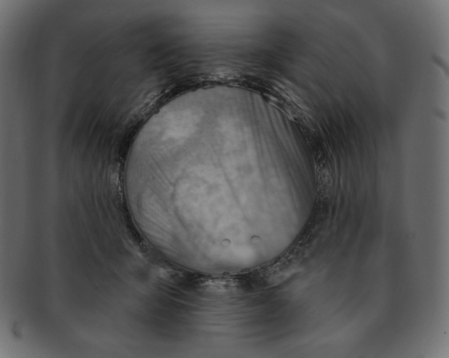 X0000091370415200709071330