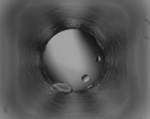 X0000091370416200709071330