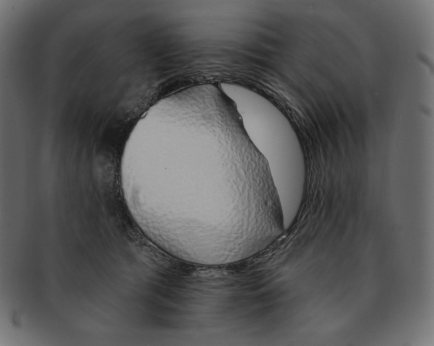 X0000091370417200709071330