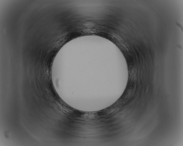 X0000091370418200709071330