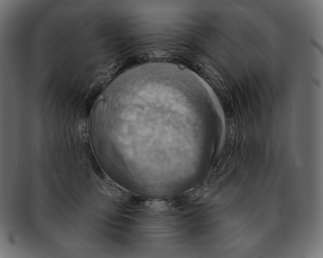 X0000091370419200709071330