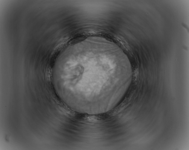 X0000091370423200709071330