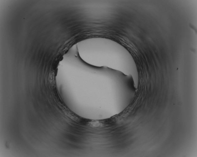 X0000091370425200709071330