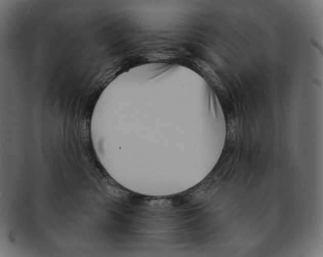 X0000091370426200709071330