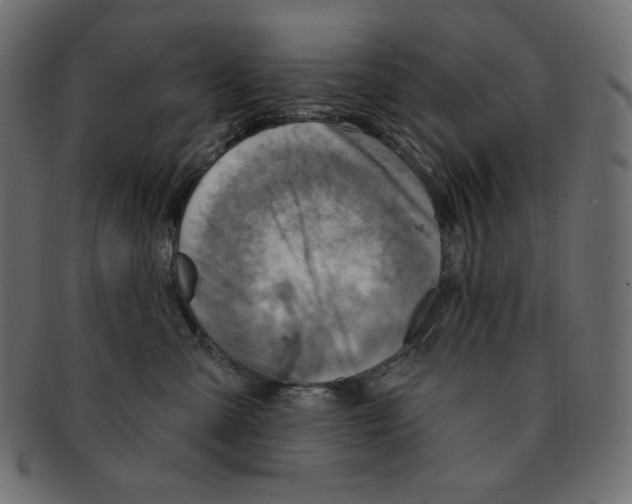 X0000091370427200709071330