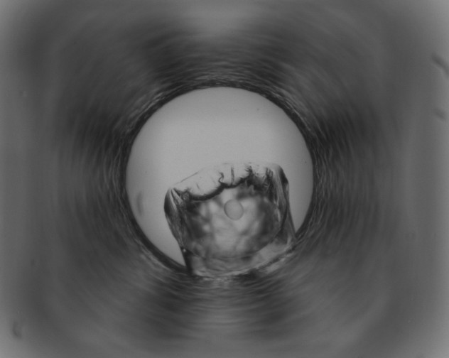 X0000091370428200709071330