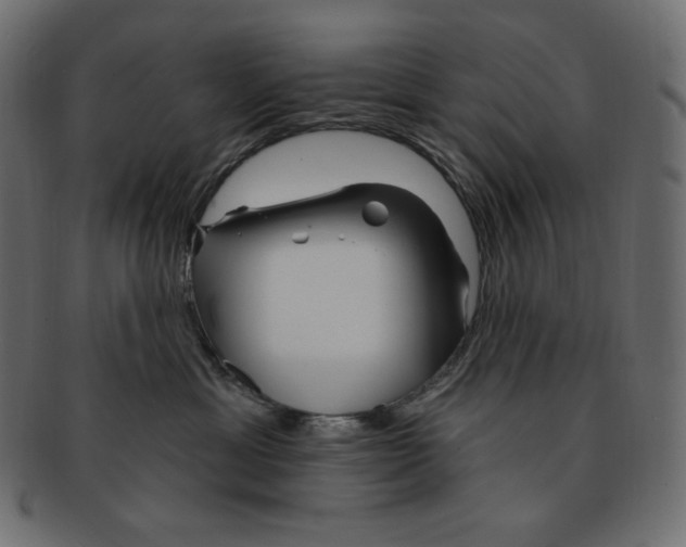 X0000091370429200709071330