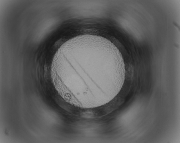 X0000091370430200709071330