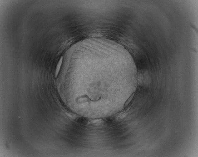 X0000091370431200709071330