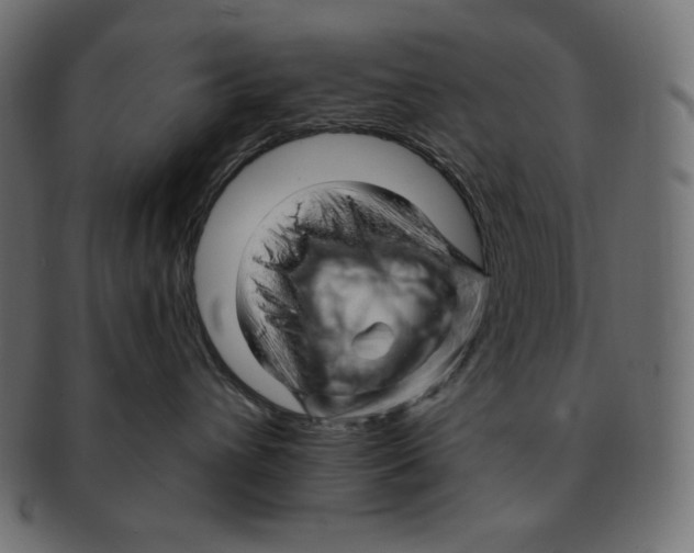 X0000091370432200709071330