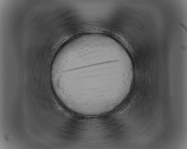 X0000091370433200709071329